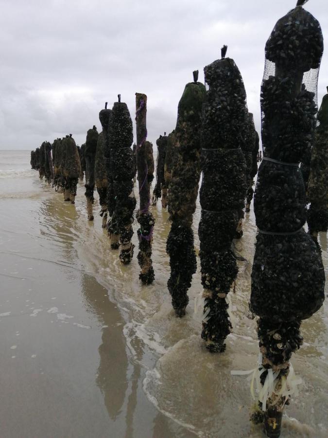 Le Cocon Des Dunes Quend Extérieur photo